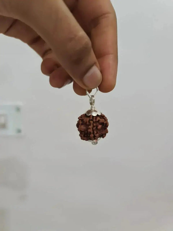 Nepal's Finest 1 Mukhi Rudraksha - Ultimate Peace & Clarity with Shiva | Brahmatells by Brahmatells