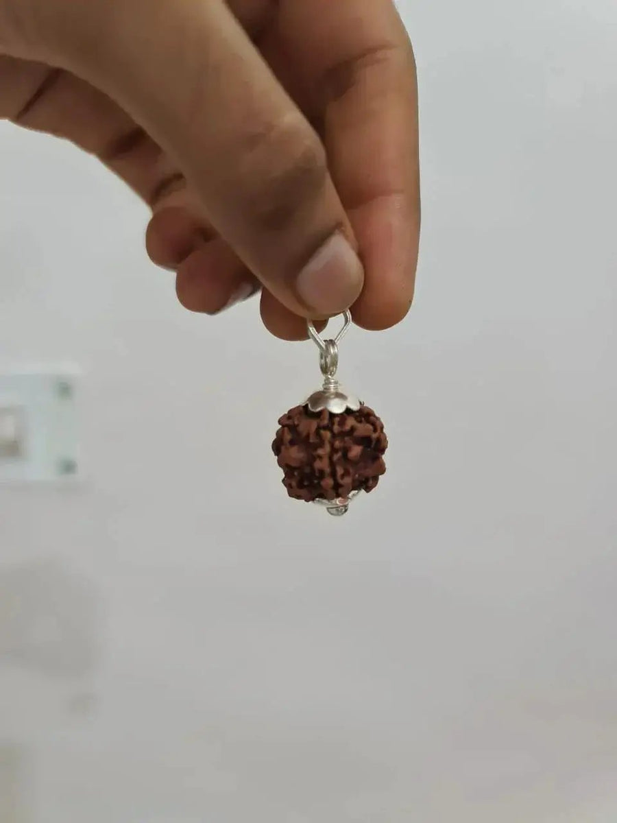 Nepal's Finest 1 Mukhi Rudraksha - Ultimate Peace & Clarity with Shiva | Brahmatells by Brahmatells
