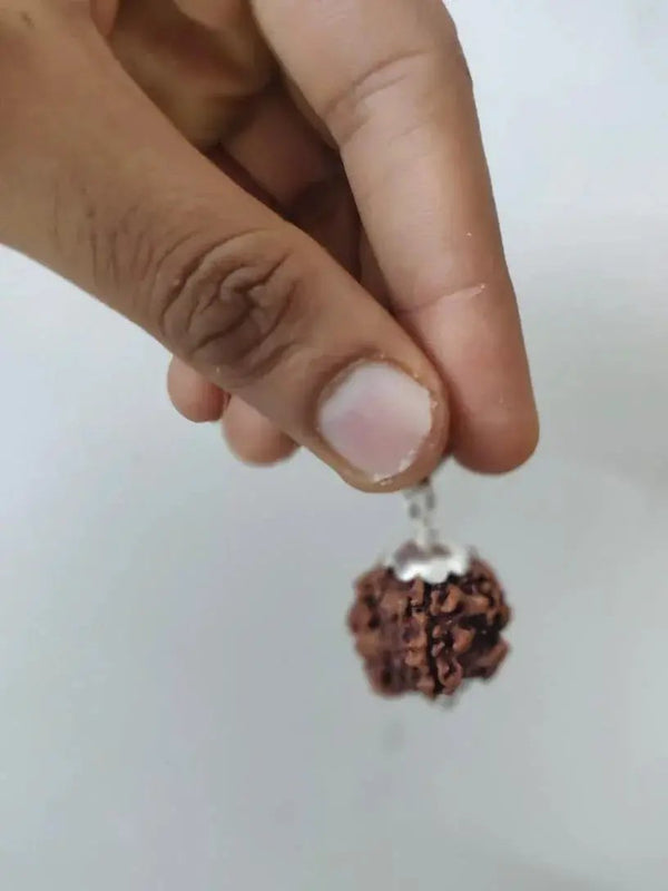 Nepal's Finest 1 Mukhi Rudraksha - Ultimate Peace & Clarity with Shiva | Brahmatells by Brahmatells