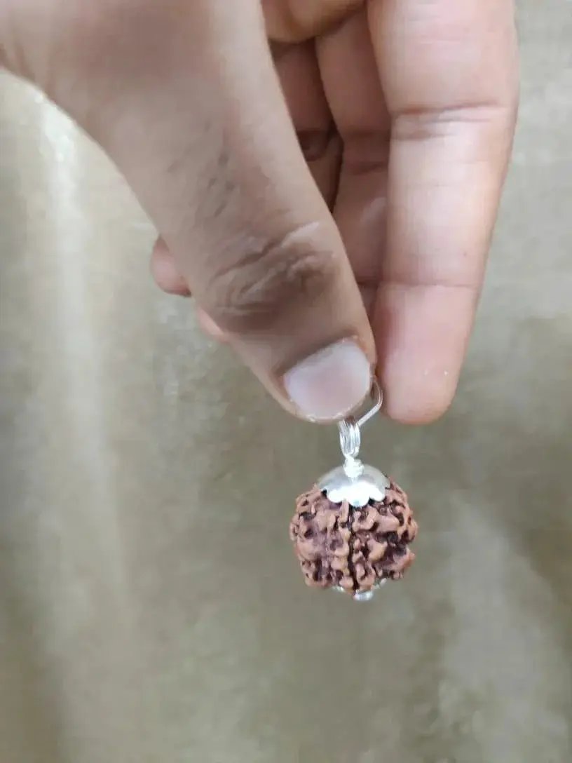 Nepal's Finest 1 Mukhi Rudraksha - Ultimate Peace & Clarity with Shiva | Brahmatells by Brahmatells