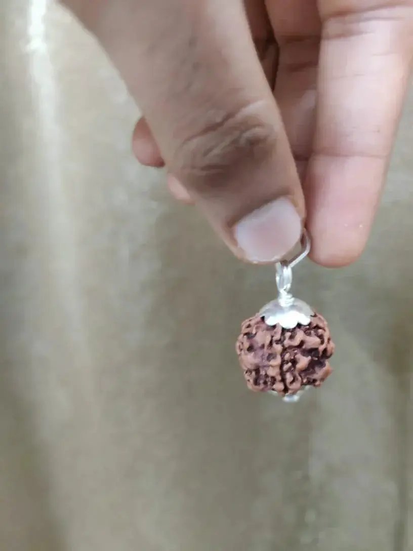 Nepal's Finest 1 Mukhi Rudraksha - Ultimate Peace & Clarity with Shiva | Brahmatells by Brahmatells