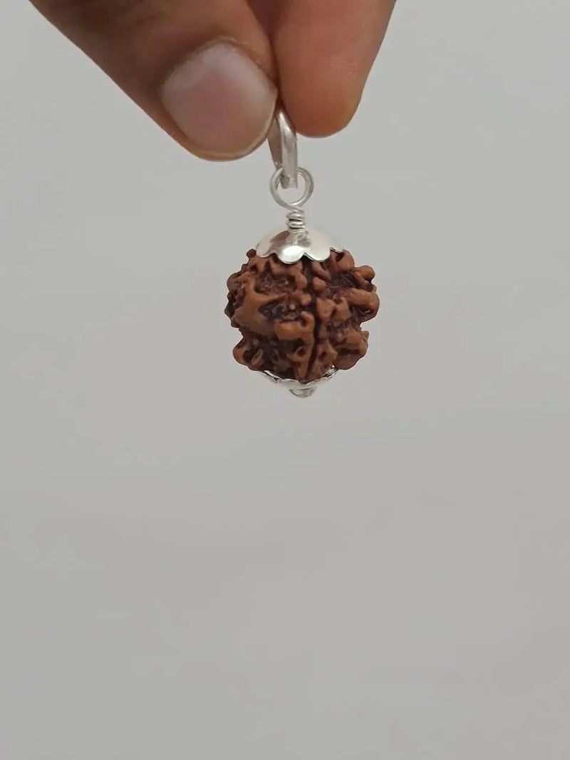 Nepal's Finest 1 Mukhi Rudraksha - Ultimate Peace & Clarity with Shiva | Brahmatells by Brahmatells