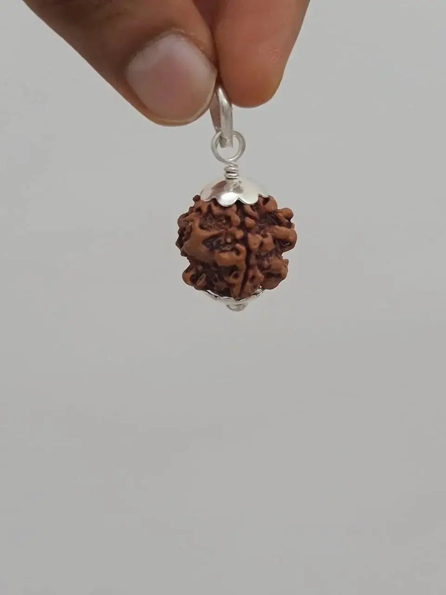 Nepal's Finest 1 Mukhi Rudraksha - Ultimate Peace & Clarity with Shiva | Brahmatells by Brahmatells