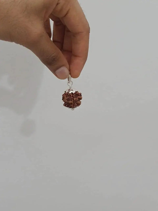 Nepal's Finest 1 Mukhi Rudraksha - Ultimate Peace & Clarity with Shiva | Brahmatells by Brahmatells