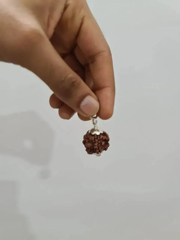 Nepal's Finest 1 Mukhi Rudraksha - Ultimate Peace & Clarity with Shiva | Brahmatells by Brahmatells