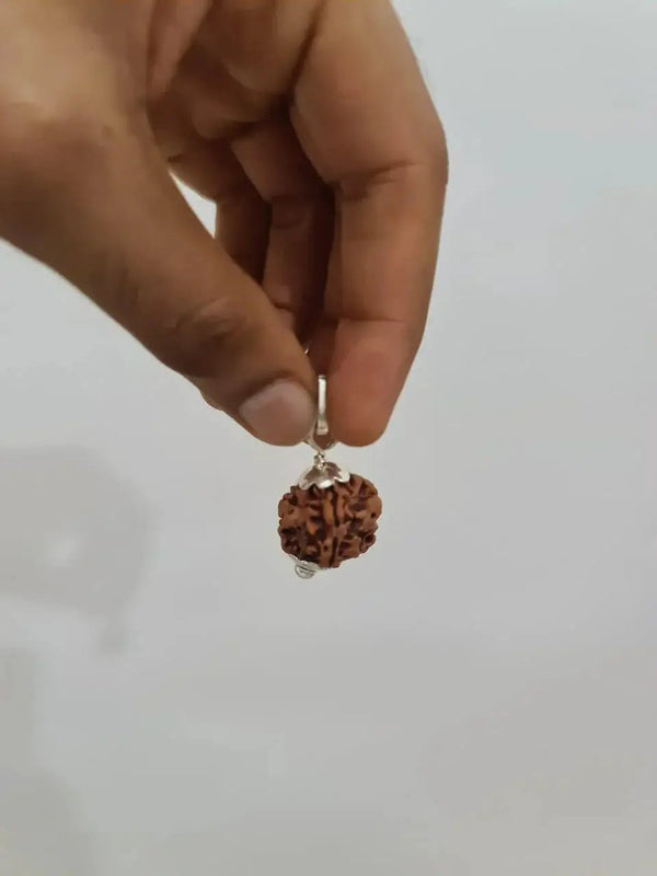 Nepal's Finest 1 Mukhi Rudraksha - Ultimate Peace & Clarity with Shiva | Brahmatells by Brahmatells