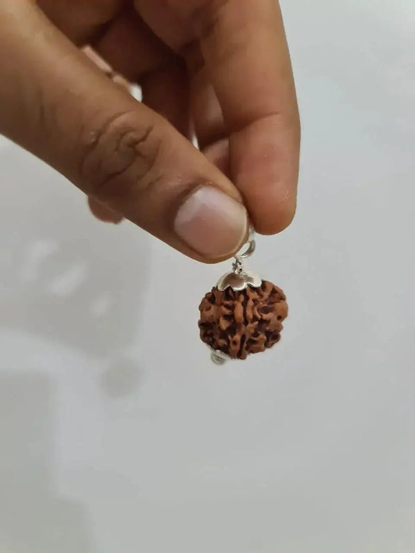 Nepal's Finest 1 Mukhi Rudraksha - Ultimate Peace & Clarity with Shiva | Brahmatells by Brahmatells