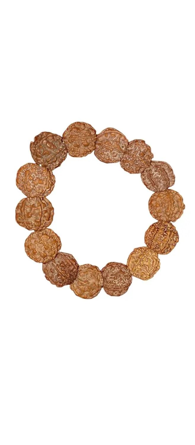 Original 7 Mukhi Nepali Rudraksha Bracelet | Certified Seven Faces Bead by Brahmatells