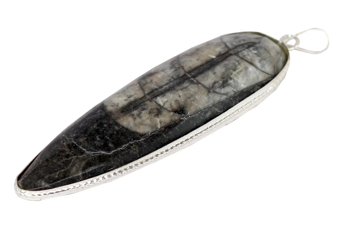 Orthoceras Pendant - Kuber Stone for Abundance & Protection | Brahmatells by Brahmatells