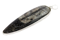 Orthoceras Pendant - Kuber Stone for Abundance & Protection | Brahmatells by Brahmatells