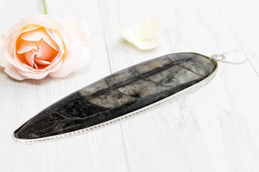 Orthoceras Pendant - Kuber Stone for Abundance & Protection | Brahmatells by Brahmatells