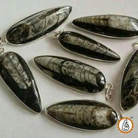 Orthoceras Pendant - Kuber Stone for Abundance & Protection | Brahmatells by Brahmatells