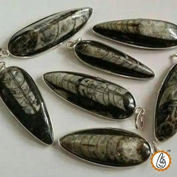 Orthoceras Pendant - Kuber Stone for Abundance & Protection | Brahmatells by Brahmatells