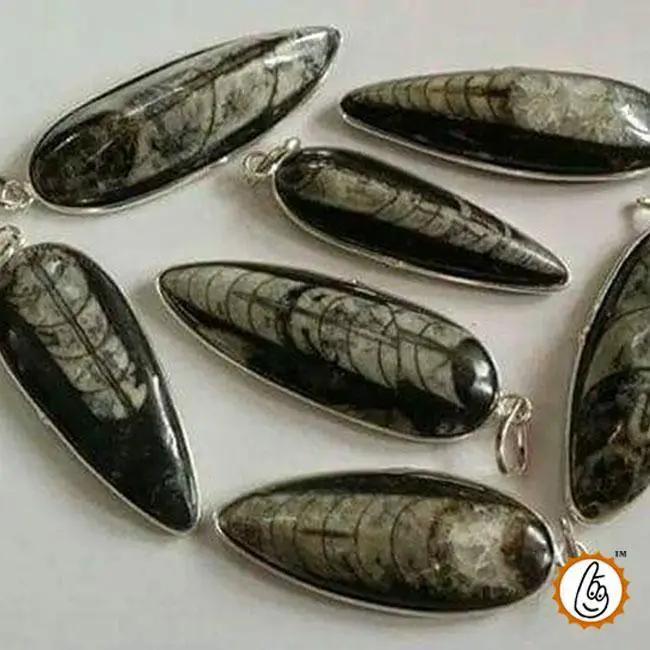 Orthoceras Pendant - Kuber Stone for Abundance & Protection | Brahmatells by Brahmatells