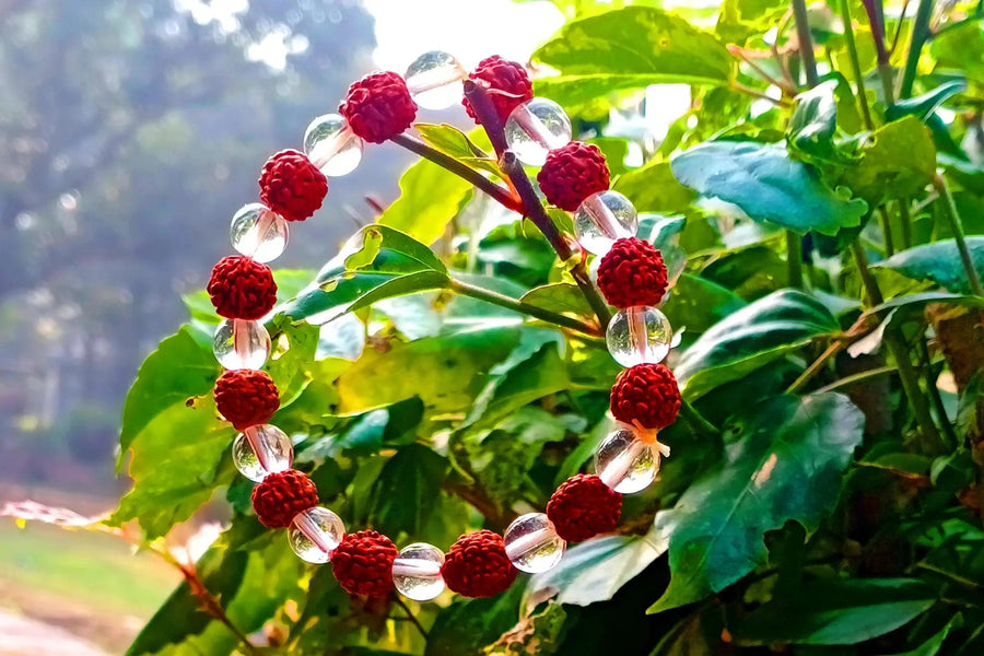 Panchmukhi Rudraksha Bracelet - Attain Mindfulness & Peace | Brahmatells by Brahmatells
