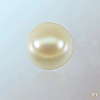 Pearl cream-light BTP110GSM by Brahmatells