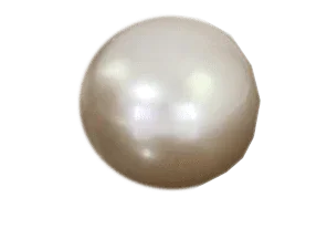 Pearl Cream Rose | Moti Stone for Moon Planet | Brahmatells by Brahmatells