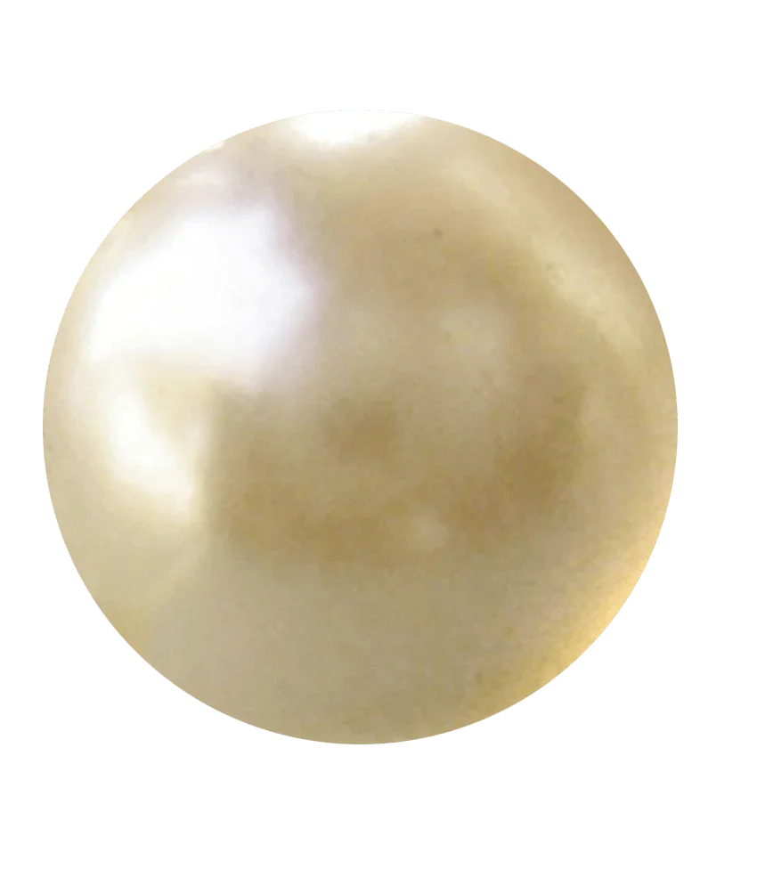 Pearl gold-light BTP109GSM by Brahmatells