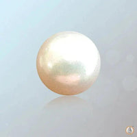 Pearl white BTP108GSM by Brahmatells
