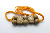 Petrified Wood Rakhi by Brahmatells
