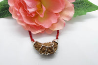 Pisces Exclusive One Mukhi Half Moon Rudraksha - Spiritual Clarity & Balance | Brahmatells by brahmatells