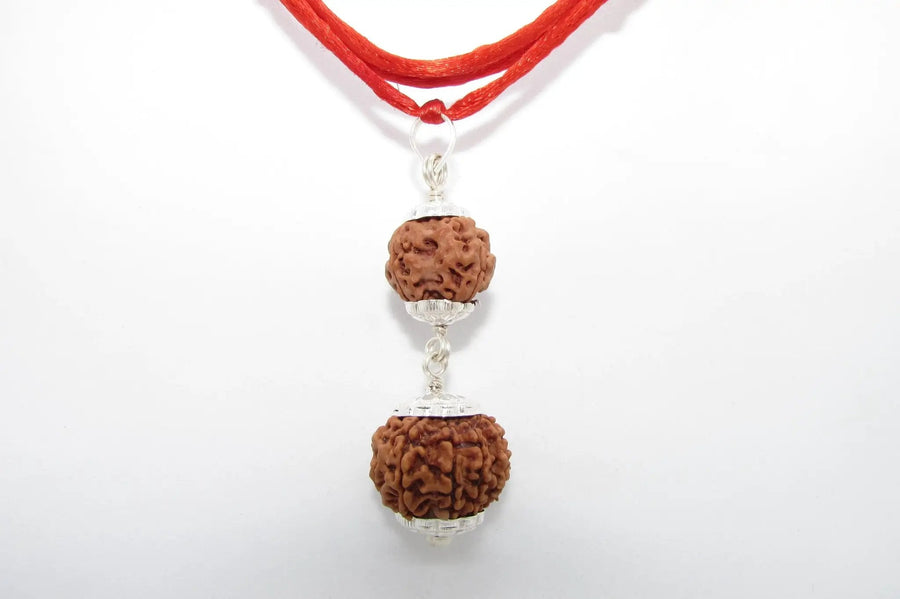 Pitra Dosha Nivaran Rudraksha Combination for Spiritual Harmony | Brahmatells by Brahmatells
