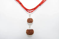 Pitra Dosha Nivaran Rudraksha Combination for Spiritual Harmony | Brahmatells by Brahmatells