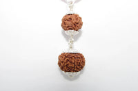 Pitra Dosha Nivaran Rudraksha Combination for Spiritual Harmony | Brahmatells by Brahmatells