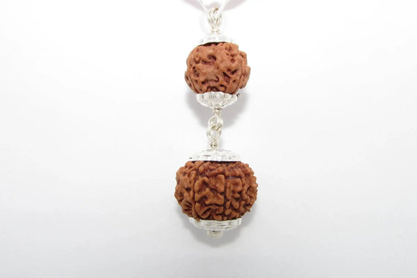 Pitra Dosha Nivaran Rudraksha Combination for Spiritual Harmony | Brahmatells by Brahmatells