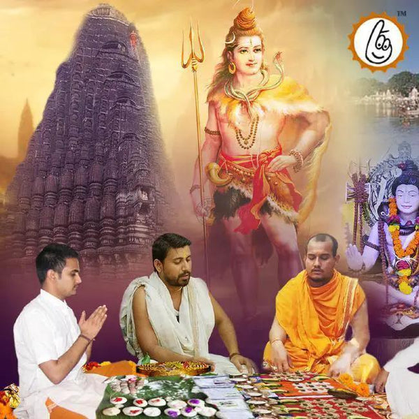 Pitru Dosh Nivaran Puja at Trimbakeshwar Temple by Brahmatells