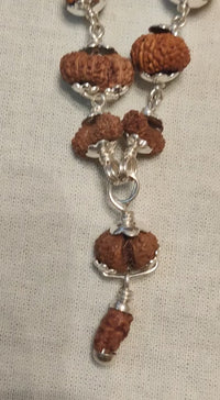 Indrakshi Mala with 1-21 Mukhi Rudrakshas - Divine Energy Spectrum | Brahmatells
