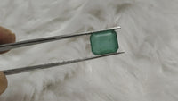 Zambian Emerald Panna | Brahmatells