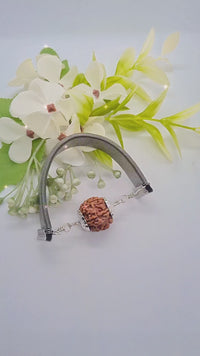 6 Mukhi Rudraksha Wisdom Bracelet | Brahmatells