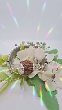 7 Mukhi Rudraksha Bracelet with Silver Pendant - Divine Blessings | Brahmatells