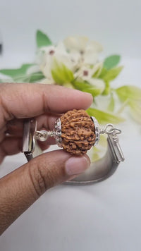 11 Mukhi Rudraksh Bracelet for Spiritual Mastery | Brahmatells