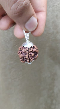 Nepal's Finest 1 Mukhi Rudraksha - Ultimate Peace & Clarity with Shiva | Brahmatells