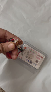 13 Mukhi Rudraksha Bracelet - Magnetize Your Presence | Brahmatells