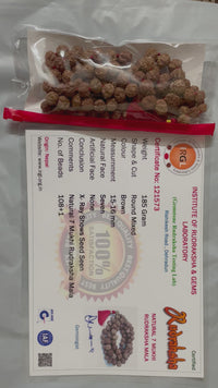 7 Mukhi Rudraksha Mala 108 Beads - Prosperity & Spiritual Growth | Brahmatells