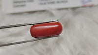 Italian Red Coral Moonga | Brahmatells