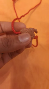 Ganesh Rudraksha - Divine Blessings of Lord Ganesha | Brahmatells