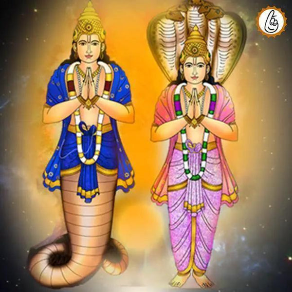 Rahu and Ketu Grah Puja Mantra Japa and Yagna by Brahmatells