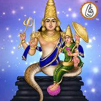 Rahu Dosh Nivaran Puja - Stability & Protection | Brahmatells by Brahmatells