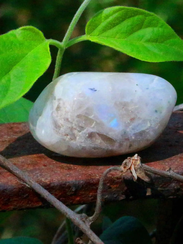 Rainbow Moonstone Tumble by Brahmatells