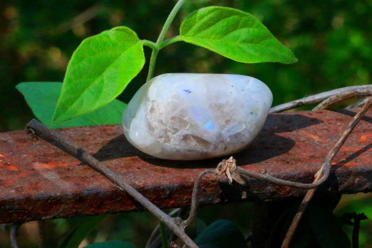 Rainbow Moonstone Tumble by Brahmatells