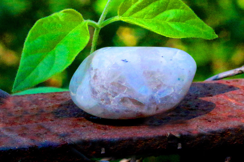Rainbow Moonstone Tumble by Brahmatells
