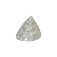 Real Seed Divine Moti(Pearl) Shankh by Brahmatells