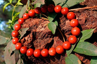 Red Jasper for Emotional Stability & Clarity | Brahmatells by Brahmatells