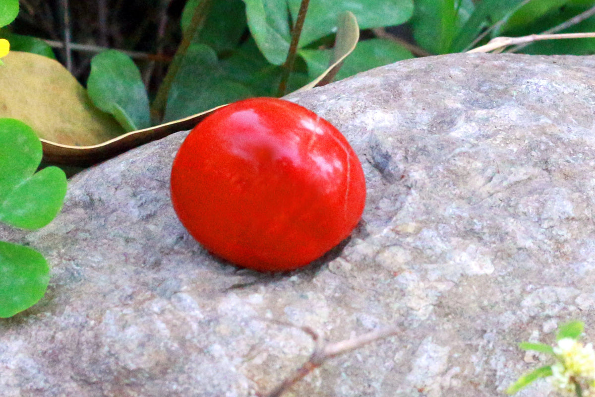 Red Jasper Tumble by Brahmatells