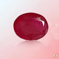 Ruby Manak pegion-red BTR110GSM by Brahmatells