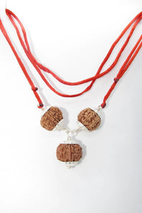 Rudraksha for Overseas Success and Travel | Brahmatells by Brahmatells